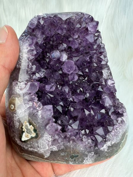 Amethist Cluster Uruguay