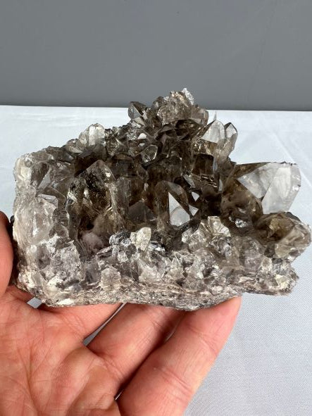 Rookkwarts Cluster - Smokeyquartz Cluster